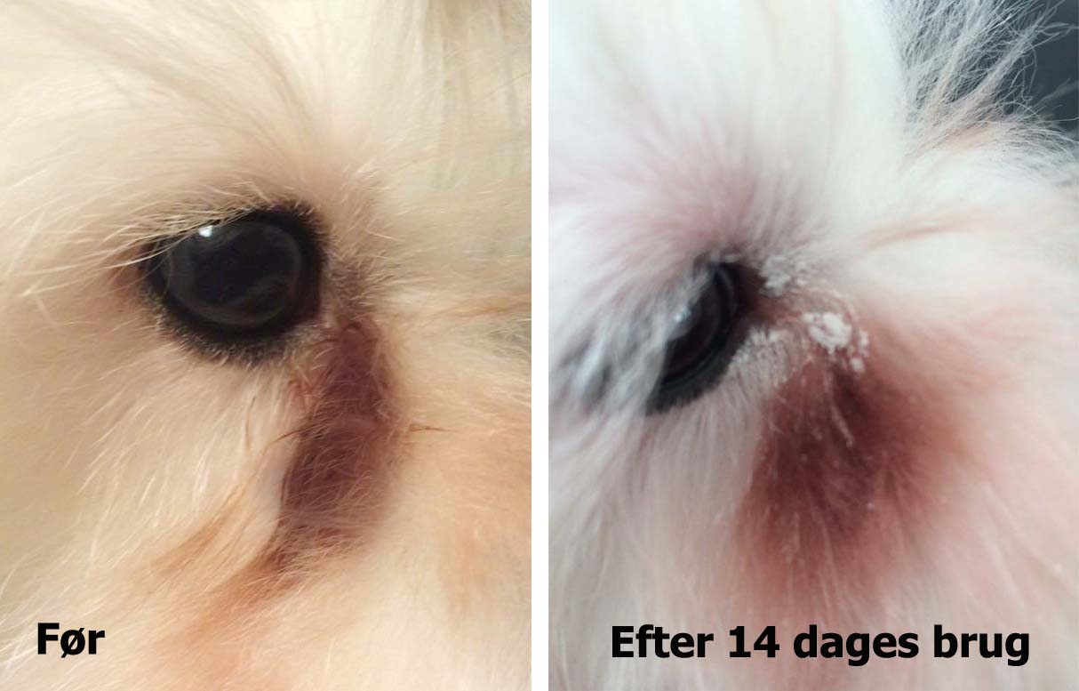groomingpowder