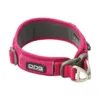 Wild Rose