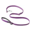 Purple Passion