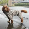 Ollipet Poncho Regndragt også til hanhunde