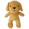Hunden Rollo