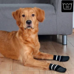 Skridsikre hundestrømper | Trixie