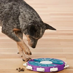 Nina Ottosson Dog Twister | niveau 3