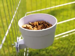 Crock Jumbo skål til tremmebur