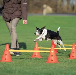 Agility hurdle sæt | Trixie