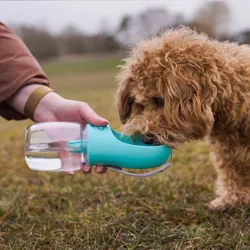 Ollipet Drikkeflaske To-Go & Kenzo