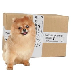 Small Breed Surprise Box
