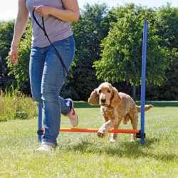 Trixie Agility Hurdle | Agility forhindring
