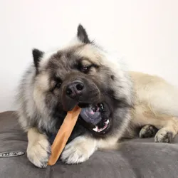 Yaki snacks tyggeben Kenai er en lækker hundesnack