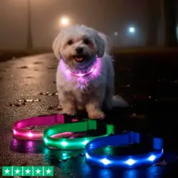 Populært LED halsbånd til hunde