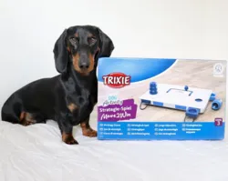 Trixie Move2win | Aktivitetsspil level 3