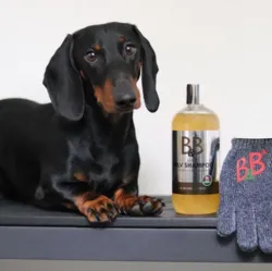 B&B Sølv Shampoo | Kolloid