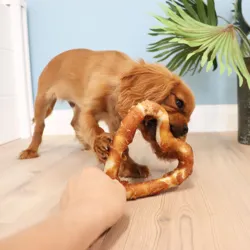 George og Denta Fun Chicken Heart med cavalier hvalp