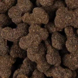 Forkæl din hvalp med Brit Crunchy Snack Insects with Whey – sprøde godbidder med insektprotein og probiotika