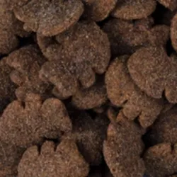 Forkæl din hund med Brit Crunchy Snack Insects with Salmon. Sprøde hundesnacks med insektprotein og laks, perfekt til daglig belønning