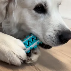 Dog toothbrush activity stick