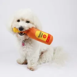 Sally med sin Fest Plysflaske med Tequila