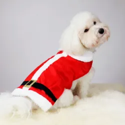 Julemandstøj til hund