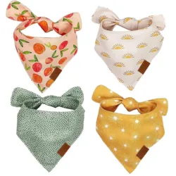 Ollipet Trendy Bandana