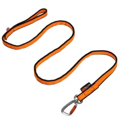 Non-Stop Dogwear Bungee Leash 2.0 | OUTLET