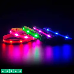 LED-hundehalsbånd | Genopladelig