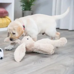 Sød kanin bamse til hunde og hvalpe fra Trixie