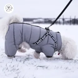 Lille hund i sort vinterflyverdragt med sele