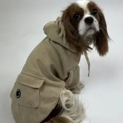 Ollipet Buddy Hoodie | Sand