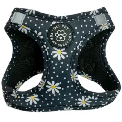 Ollipet margueritter Sele