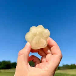En kølende snack til din hund på en varm sommerdag