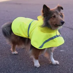 Ollipet Outdoor Rain Shield