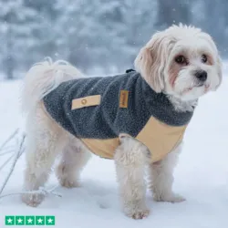 Ollipet Teddy Dækken