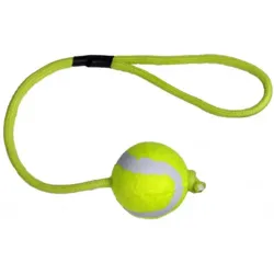 KW Tennisbold på reb kan give timevis af leg