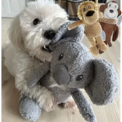Ollipet Safari Friends sæt a´3 skønne bamser
