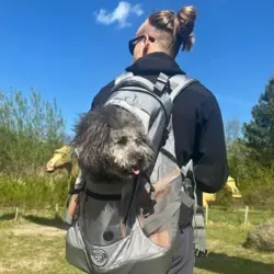 Ollipet Hiking Backpack er ideel til vandreture med hunden