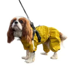 Ollipet AQUA Full Body Raincoat | M. Sele