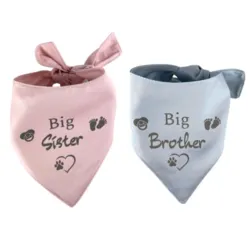 Ollipet "Big brother/sister" Bandana