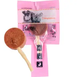 Companion Lollipop  |  And