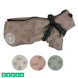 Ollipet Aqua Explorer De Luxe  Regnjakke | Med Sele