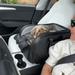 Smart autostol til din hund