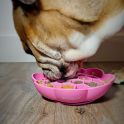 Ollipet blomst slikkeskål i pink