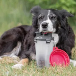 Smart beholder fra Trixie til hundefoder og vand