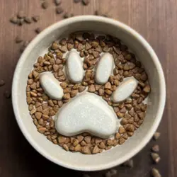 Ollipet paw slowfeeder keramikskål