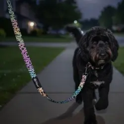 Ollipet Refleks Hundesnor til de mørke efterårs- og vinterdage
