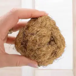 Gnavebold af kokosfibre | Bæredygtig