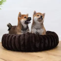 Flot mørkebrun hundekurv, med 2 Shiba hvalpe