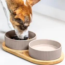 DOG Copenhagen Kronborg Food Bar  sikrer et elegant og praktisk spisested til din hund.