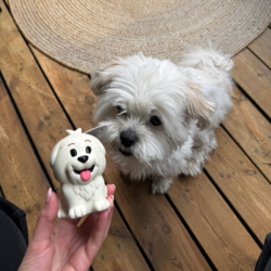 Ollipet NaturLatex Happy Puppy Ollie
