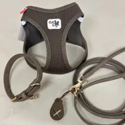 Smart step-in hundesele fra Curli, Halsbånd og snor fra Ollipet og hundeposeholder fra Dog Copenhagen