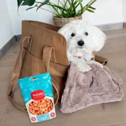 Pakketilbud | Ollipet Nice Hundetaske m. Ollipet luksustæppe og Ficcaro godbidder